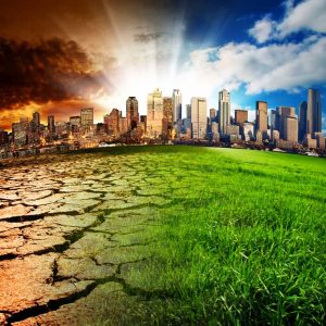 COP29 and the Road Ahead for Pakistan’s Climate Action