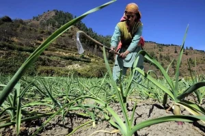 The Urgent Need for Climate-Resilient Investments