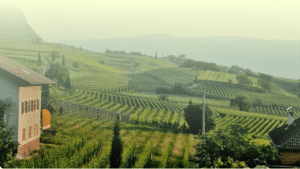 Top 10 Carbon Credit Opportunities in Pakistan (2026)