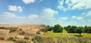 Savak: Building Pakistan’s First Platform of Investable Community Climate Assets